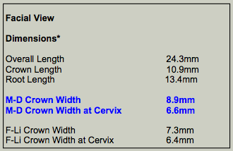 DImensions Mx Central Crown Width Facial.png